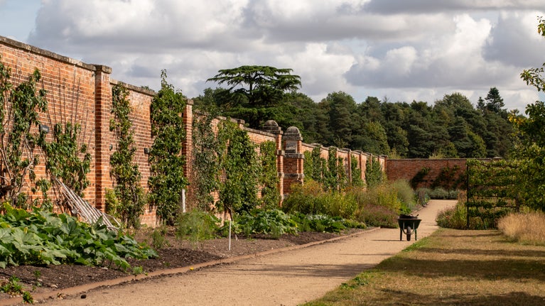 View across the walled kitchen garden